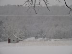 snow 002.jpg