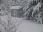 snow 009 small.jpg