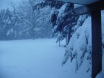 snow 006 small.jpg