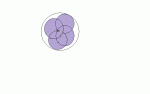 marblesinsphere.gif