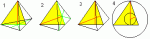 tetra.gif