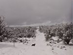 OurDriveway.JPG