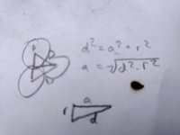 P_20200320_162504.jpg P_20200320_162504.jpg