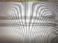 20200925_131005.jpg