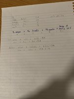 IMG_8077.jpeg