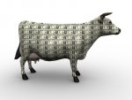 Cashcow.jpg