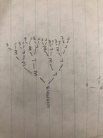 IMG_9039.jpeg