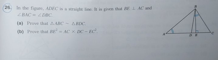 WhatsApp Image 2021-12-23 at 15.35.05.jpeg