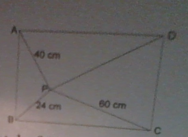 Screen Shot 2022-01-19 at 9.33.59 PM.png