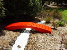 DSCF0318.JPG DSCF0318.JPG