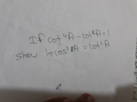 16530514391626166713921612720709.jpg