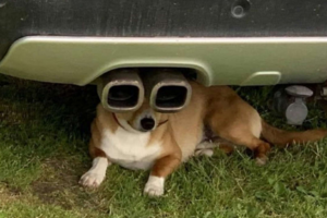 FunPic 1.PNG