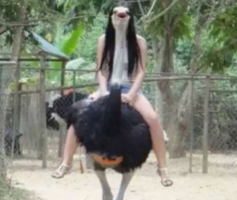 FunPic 9.PNG