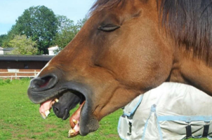 FunPic 7.PNG