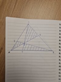 16791591222776408404142117837449.jpg