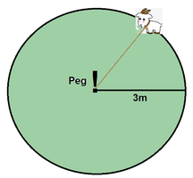 Grass Area.png