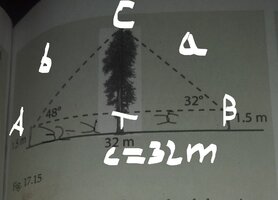 diagram_LI (4).jpg