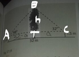 diagram_LI (5).jpg