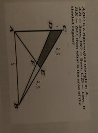 IMG_2358.jpeg