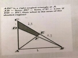 IMG_2358.jpeg