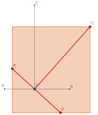1707019764638.png