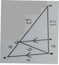 my new shape.png