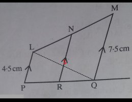 Labelled LQ segement correct.jpg Labelled LQ segement correct.jpg