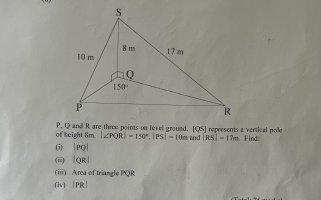 IMG_6003.jpeg