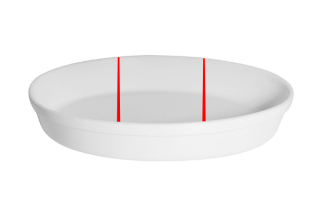 elliptical dish.png