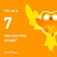 duolingo.jpg