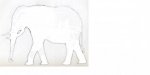 Elephant.jpg