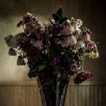 BQfail.jpg BQfail.jpg